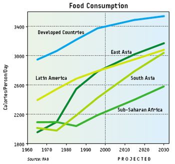 food_consumption