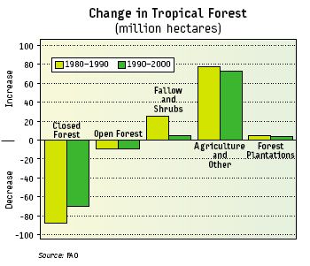tropical_changes_forrest